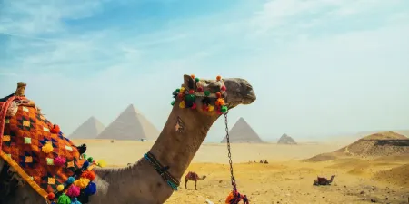 5 Day Tour to Egypt Luxury​